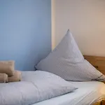 Apartment Lausbub